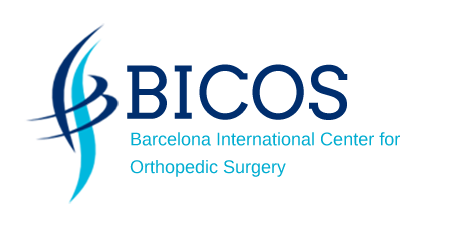 Bicos Logo